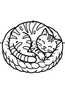 Bold Cat Coloring Page - Free Printable